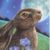 Profile picture of moon.gazing.hare